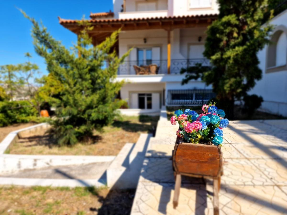 Pórto Ráfti Villa Liana : Luxury Villa With Fantastic Sea View, Near Airport מראה חיצוני תמונה